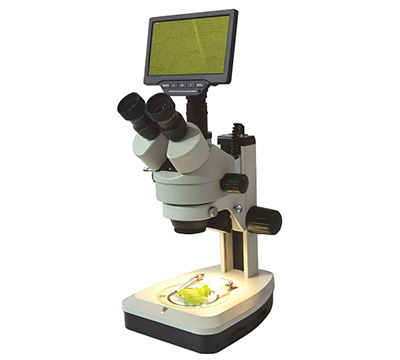 鳳凰光學體視顯微鏡XTL-165-PB7